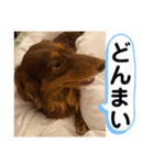 ルークのナイスタンプ！（個別スタンプ：14）