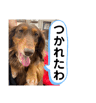 ルークのナイスタンプ！（個別スタンプ：16）