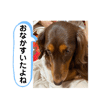 ルークのナイスタンプ！（個別スタンプ：23）