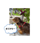 ルークのナイスタンプ！（個別スタンプ：28）