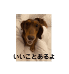 ルークのナイスタンプ！（個別スタンプ：29）
