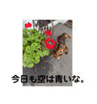 ルークのナイスタンプ！（個別スタンプ：32）