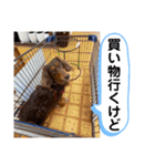 ルークのナイスタンプ！（個別スタンプ：34）