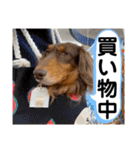 ルークのナイスタンプ！（個別スタンプ：35）