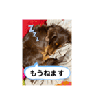 ルークのナイスタンプ！（個別スタンプ：38）