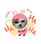 ねこ いぇ～い（個別スタンプ：30）
