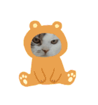 ねこ いぇ～い（個別スタンプ：37）