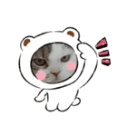 ねこ いぇ～い（個別スタンプ：38）