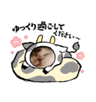新年スタンプ猫 グレー、白（個別スタンプ：3）