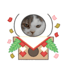 新年スタンプ猫 グレー、白（個別スタンプ：4）
