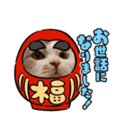 新年スタンプ猫 グレー、白（個別スタンプ：5）