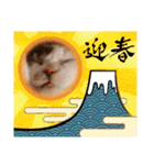 新年スタンプ猫 グレー、白（個別スタンプ：9）