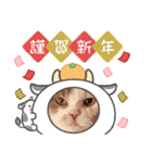 新年スタンプ猫 グレー、白（個別スタンプ：10）