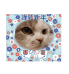 新年スタンプ猫 グレー、白（個別スタンプ：13）