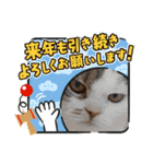 新年スタンプ猫 グレー、白（個別スタンプ：14）