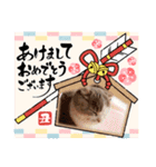新年スタンプ猫 グレー、白（個別スタンプ：22）