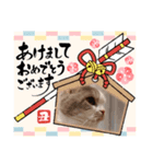 新年スタンプ猫 グレー、白（個別スタンプ：27）