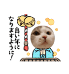 新年スタンプ猫 グレー、白（個別スタンプ：29）