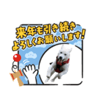紀州犬ハクのスタンプ5（個別スタンプ：11）