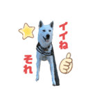 紀州犬ハクのスタンプ5（個別スタンプ：23）