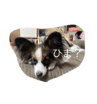 くうの家族たち（個別スタンプ：7）