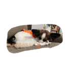 くうの家族たち（個別スタンプ：9）