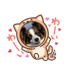 くうの家族たち（個別スタンプ：17）