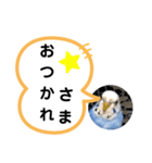 三毛子挨拶スタンプ（個別スタンプ：2）
