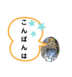 三毛子挨拶スタンプ（個別スタンプ：3）