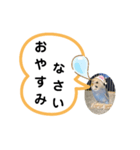 三毛子挨拶スタンプ（個別スタンプ：4）