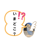 三毛子挨拶スタンプ（個別スタンプ：6）