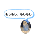 三毛子挨拶スタンプ（個別スタンプ：7）