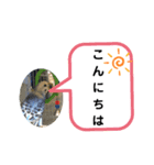三毛子挨拶スタンプ（個別スタンプ：8）