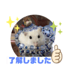 敬語と普段使いのハムちゃんスタンプ（個別スタンプ：2）
