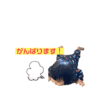あーちゃんかなちゃん（個別スタンプ：8）