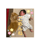 マロンと時々まろん（個別スタンプ：12）