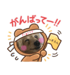 マロンと時々まろん（個別スタンプ：16）