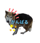 とのスタンプ！（個別スタンプ：1）