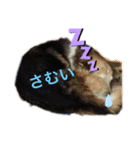 とのスタンプ！（個別スタンプ：2）