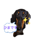 とのスタンプ！（個別スタンプ：3）