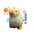 とのスタンプ！（個別スタンプ：7）