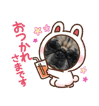 パグの歳三ドラゴンタイガー（個別スタンプ：14）