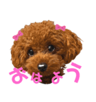タラちゃんイクラちゃんとお友達（個別スタンプ：1）