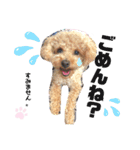 タラちゃんイクラちゃんとお友達（個別スタンプ：4）