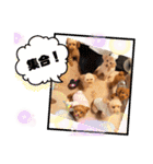 タラちゃんイクラちゃんとお友達（個別スタンプ：9）