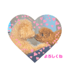 タラちゃんイクラちゃんとお友達（個別スタンプ：10）