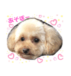 タラちゃんイクラちゃんとお友達（個別スタンプ：12）