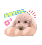 タラちゃんイクラちゃんとお友達（個別スタンプ：14）
