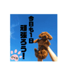 タラちゃんイクラちゃんとお友達（個別スタンプ：16）