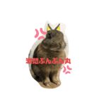 ほむくん（個別スタンプ：4）